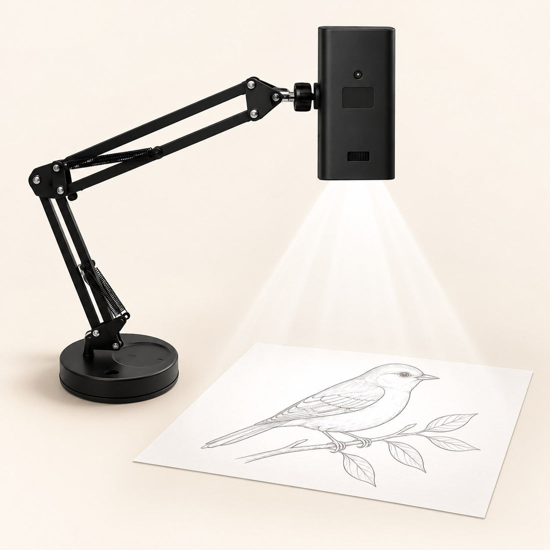 BRAND projecting a bird outline onto paper